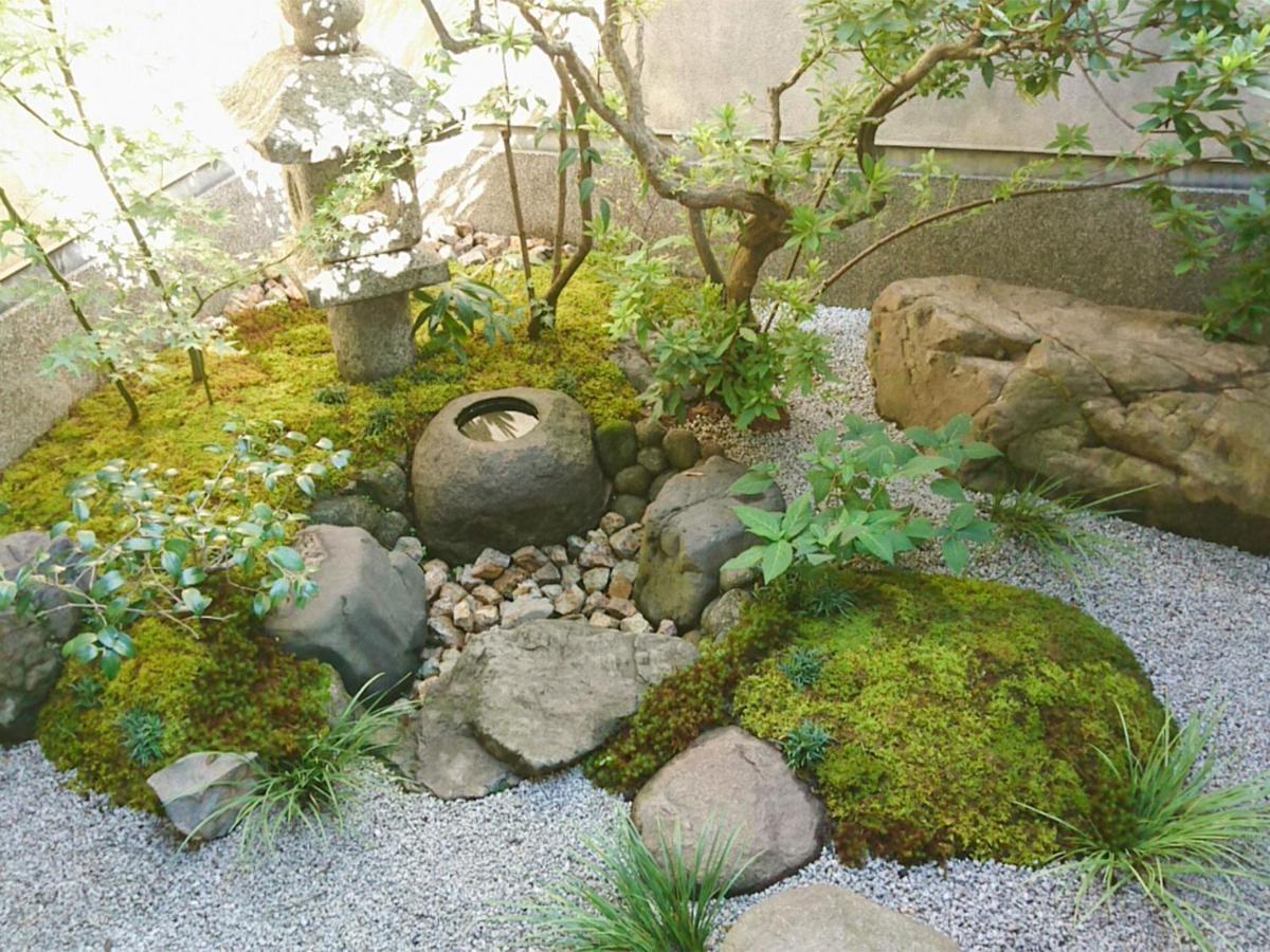 旅館　田の屋 4* 京都市